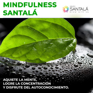 Mindfulness, Coaching, Formación, Buenos Aires, Start up