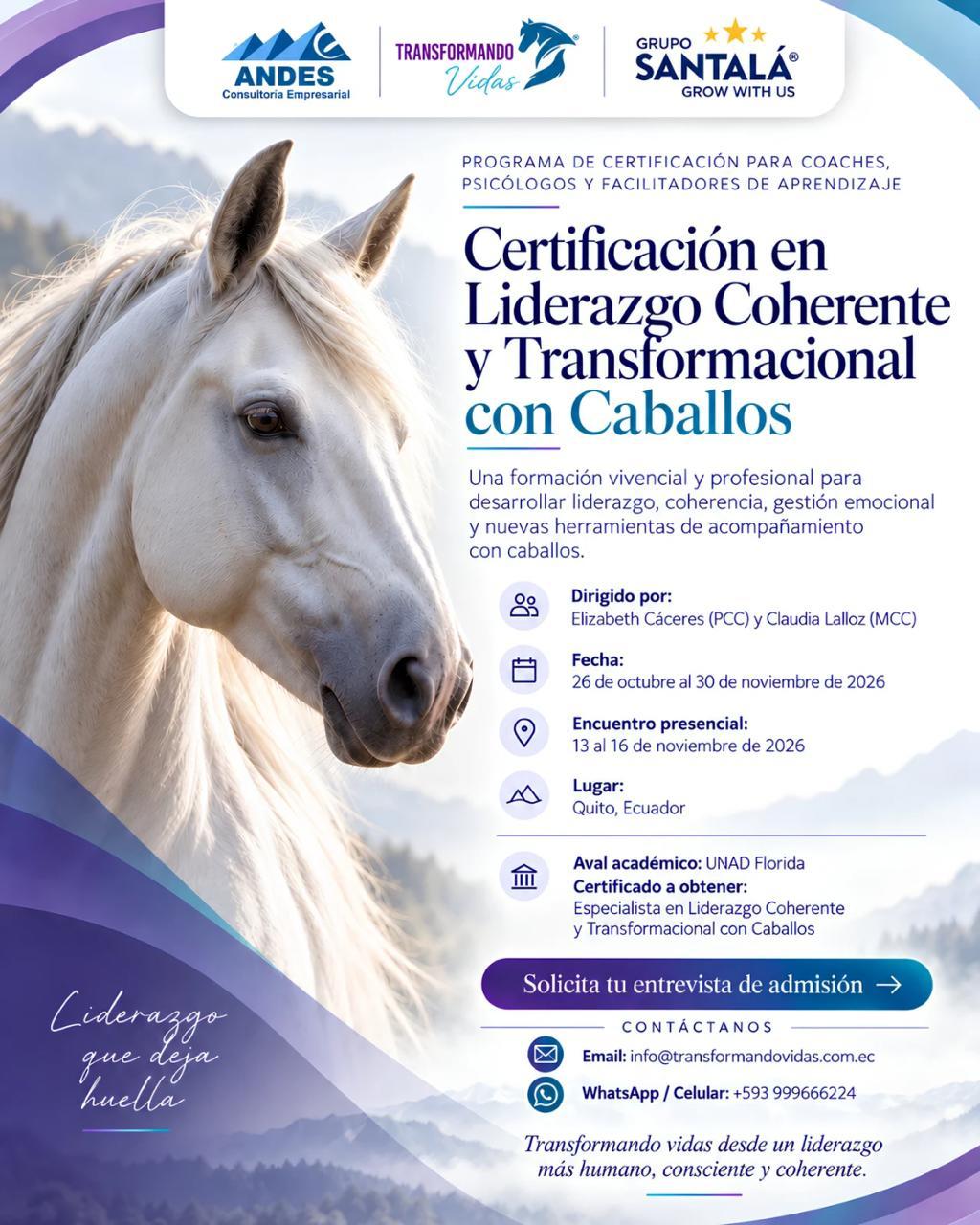 Flyer Liderazgo con caballos